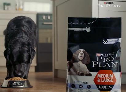 1.000 muestras gratis Purina Pro Plan Optiage para perros mayores de 7 años